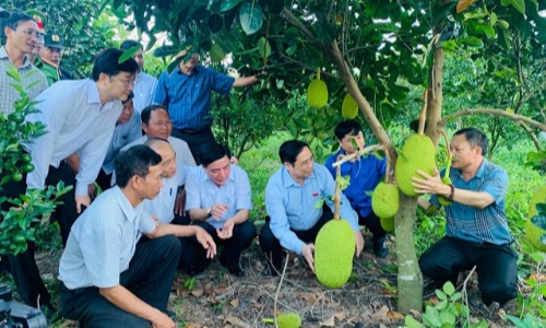 Đồng chí Phạm Minh Chính, Ủy viên Bộ Chính trị, Bí thư Trung ương Đảng, Trưởng Ban Tổ chức Trung ương thăm và làm việc tại tỉnh Đắk Lắk